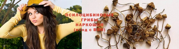 гидропоника Дмитриев