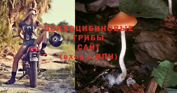 экстази Дмитровск