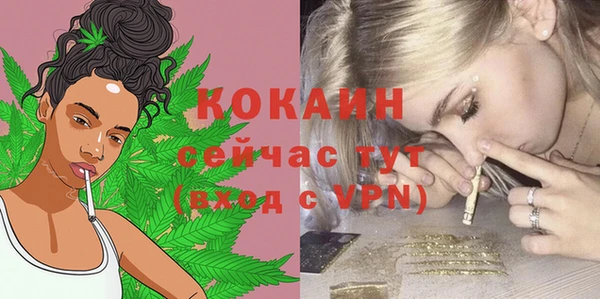ешки Дмитров