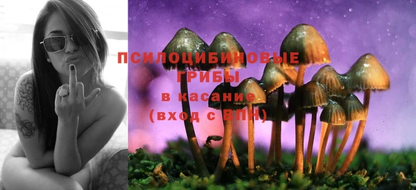 экстази Дмитровск