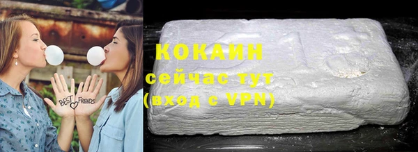 гидропоника Дмитриев
