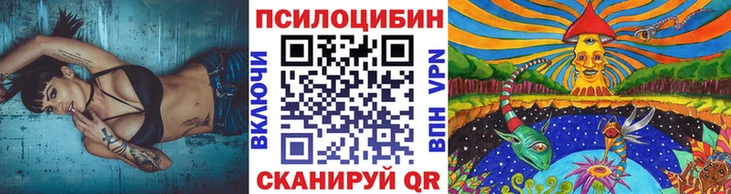 Псилоцибиновые грибы Psilocybe  Елизово 